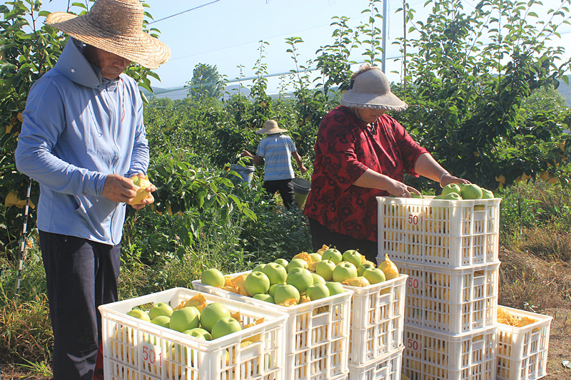 ��óԣ����Ѕ^(q��)ǰ�����@��(g��)���@������������